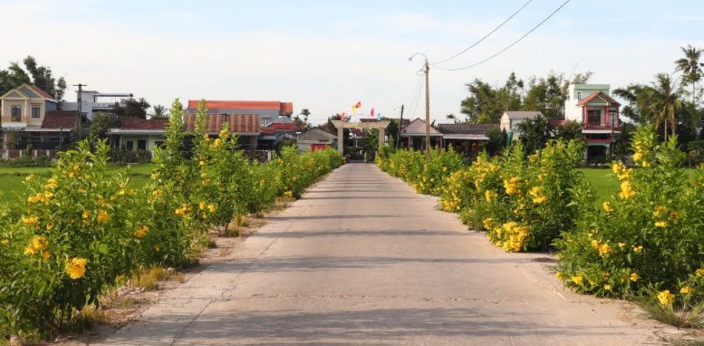 Diện mạo vùng quê ở Quảng Ngãi nhiều khởi sắc sau khi trở thành NTM