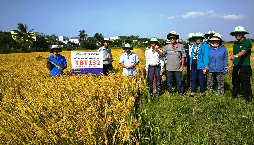 Các đại biểu tham quan, đánh giá giống lúa mới TBT132 tại xã Bình Chương.