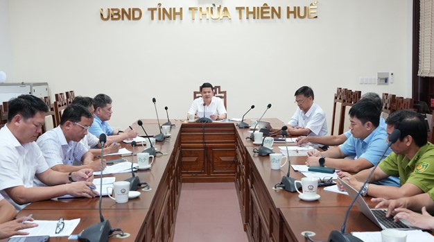Phó Chủ tịch UBND tỉnh Thừa Thiên Huế Hoàng Hải Minh làm việc với các sở, ngành, địa phương về hoạt động quản lý rừng bền vững, phát triển rừng trồng sản xuất gỗ lớn và chứng chỉ quản lý rừng bền vững (FSC).