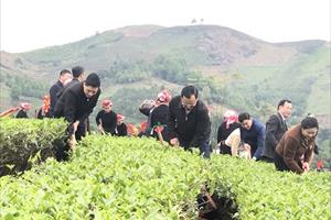 Lào Cai phát động thi đua xây dựng nông thôn mới và phát triển nông nghiệp hàng hoá năm 2024