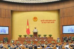 Bộ trưởng: Chất lượng rừng của Việt Nam chưa cao