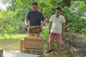 Gây dựng trang trại tiền tỷ từ 3 đàn ong