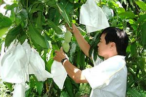 Cần loại bỏ những thông tin “độc” gây ảnh hưởng đến nông sản