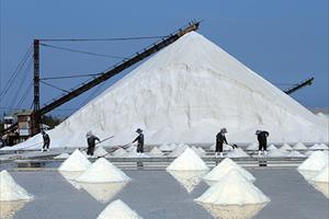 Nhiều chính sách khuyến khích phát triển nghề muối