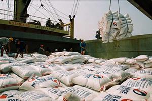 Xuất khẩu gạo vẫn cần điều kiện