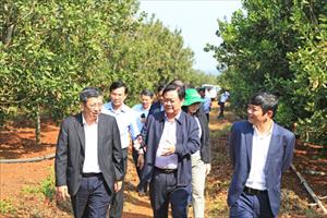 Bộ trưởng Bộ Nông nghiệp và PTNT Lê Minh Hoan: Tự tin hiện thực hóa khát vọng nông nghiệp bền vững, sinh thái
