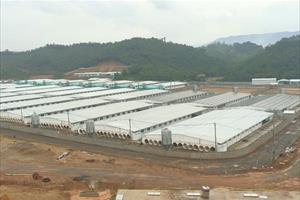 Trang trại nuôi lợn của Công ty Agri-Vina gây mùi hôi thối: Do rò rỉ khí biogas trong quá trình vận hành máy phát điện