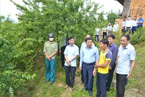 Hội Làm vườn tỉnh Hà Giang: Chú trọng cải tạo vườn tạp để củng cố tổ chức