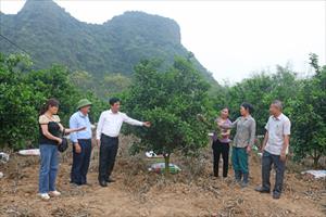 HLV và TT Thanh Hoá: Giúp hội viên xây dựng thương hiệu nông sản, hướng đến xuất khẩu