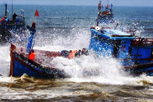 Tàu cá của ngư dân Quảng Ngãi bị chìm, 8 ngư dân được cứu vớt an toàn