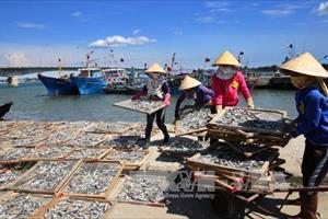 Ngư dân 4 tỉnh miền Trung nhận thêm 1.680 tỷ đồng bồi thường vụ Formosa