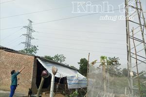 Dự án xây dựng đường dây tải điện 110kV qua địa phận Hòa Thạch – Lương Sơn: 10 năm dân vẫn chưa nhận được tiền đền bù!