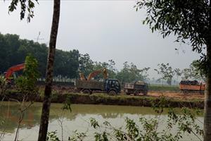 Thanh Hóa: Đất đắp kênh “án binh” trong nhà máy gạch!