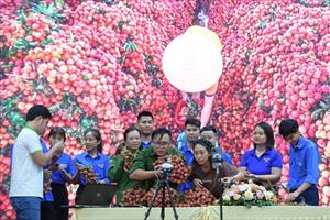 Bắc Giang bán 23 tấn vải thiều sau 4 giờ livestream trên mạng xã hội