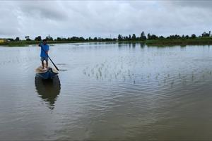 Người dân Cà Mau thiệt hại nặng do mưa lớn và triều cường