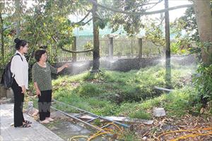 Nhà vườn Tân Phú chủ động phòng chống hạn mặn