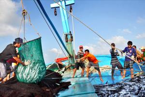 Chỉ thị của Ban Bí thư về tăng cường lãnh đạo chống khai thác thủy sản bất hợp pháp