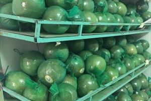 SPS Việt Nam thông báo các yêu cầu nhập khẩu thực phẩm mới