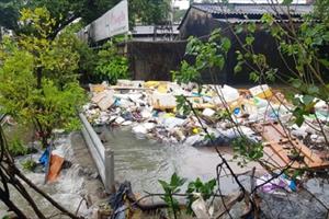 Phân loại rác thải sinh hoạt giúp hạn chế tác hại đến môi trường