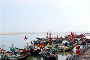 Thời tiết thuận lợi, ngư dân Hà Tĩnh tích cực bám biển vươn khơi