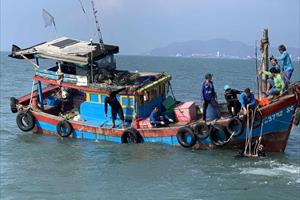 Quảng Bình tích cực tìm kiếm 11 ngư dân mất tích do chìm tàu
