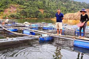 Nghệ An lấy ý kiến đóng góp vào Đề án phát triển nuôi trồng thủy sản trên các hồ chứa