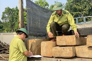Quảng Nam bảo vệ nguồn lợi từ rừng