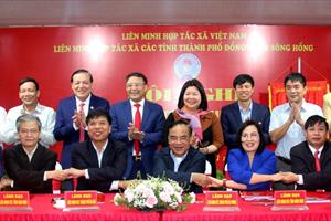 Liên minh HTX các tỉnh Đồng bằng sông Hồng ký kết giao ước thi đua năm 2024