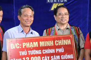 Thủ tướng Chính phủ tặng 12.000 cây giống sâm Ngọc Linh cho hộ nghèo ở Kon Tum