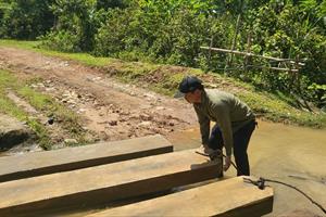 Khai thác gỗ trái phép làm quan tài tại huyện Thường Xuân