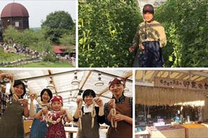 Mô hình kinh doanh nông nghiệp trọn chuỗi 'từ vườn đến bàn' của Nhật