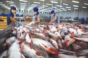 Xuất khẩu cá tra vào Mỹ giảm 26 triệu USD trong một tháng