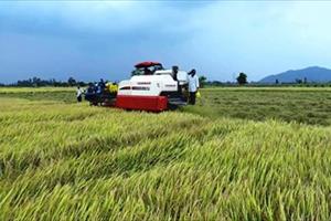 Agribank góp phần hiện thực hóa máy nông cụ Nhật Bản đến nông dân Việt