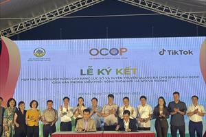 Hà Nội ký kết tuyên truyền quảng bá sản phẩm OCOP lên sàn TikTok