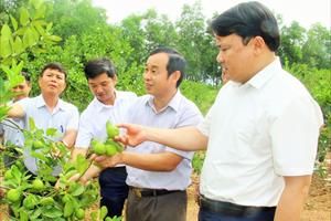 Đô Lương quyết tâm xây dựng huyện nông thôn mới