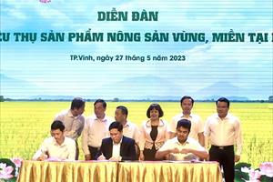 WinMart thúc đẩy phát triển chuỗi giá trị nông sản chất lượng cao tại Nghệ An