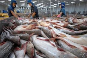 Xuất khẩu cá tra Việt Nam sang Đức tiếp tục tăng trưởng