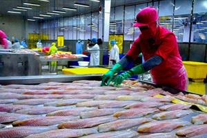 Triển vọng cho xuất khẩu cá những tháng cuối năm 2023