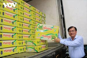 An Giang xuất khẩu 18 tấn xoài keo đầu tiên sang Hàn Quốc
