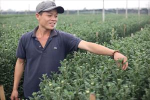 Vượt thách thức, HTX nông nghiệp “sống khỏe” trên “sân nhà”