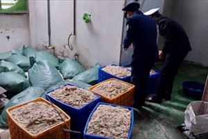 Bắc Giang phát hiện hơn 9 tấn thực phẩm 'bẩn' tại một công ty thực phẩm