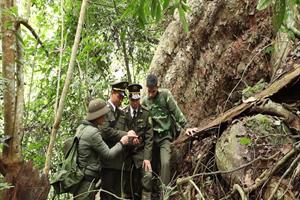 Tuyên Quang nâng mức trợ cấp cho nhân viên tuần rừng lên 5 triệu đồng/tháng