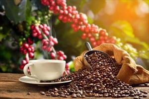 Xuất khẩu cà phê 4 tháng đạt 753 nghìn tấn
