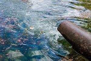 Giải quyết ô nhiễm môi trường sông Nhuệ, sông Đáy là vấn đề cần làm ngay