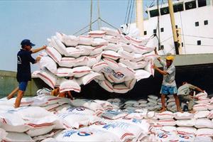 Giá gạo xuất khẩu từ Việt Nam tăng vọt