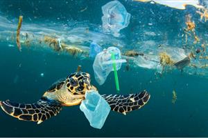 Việt Nam lãng phí gần 3 tỷ USD mỗi năm vì thải bỏ nhựa ra môi trường