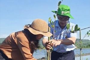 Phú Yên phát động trồng rừng ngập mặn chống biến đổi khí hậu