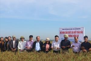 Khuyên nông Thái Nguyên góp sức xây dựng nông thôn mới