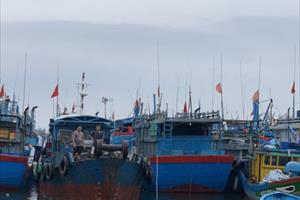 Quảng Ngãi: Từ 13 giờ chiều nay (17/9) cấm tất cả tàu thuyền ra khơi 