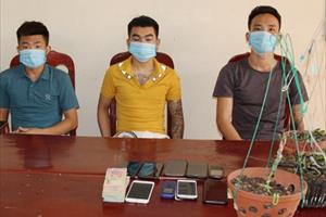 Hà Nam: Bắt nhóm đối tượng lừa đảo “lan đột biến” 